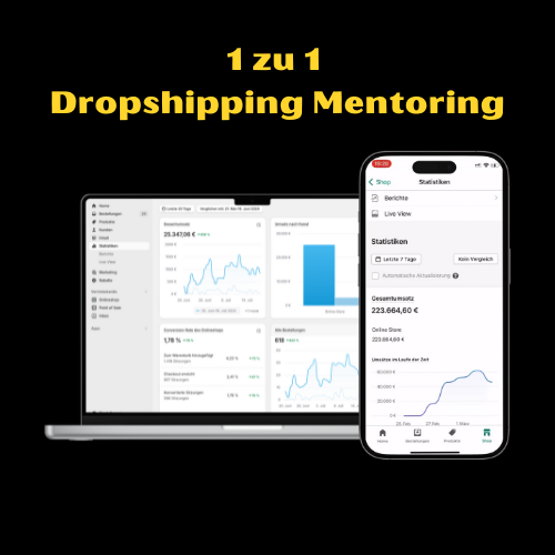 E-Commerce 1 zu 1 Dienstleistung